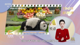 《长津湖》连续24天蝉联日榜冠军，票房日收9243万。